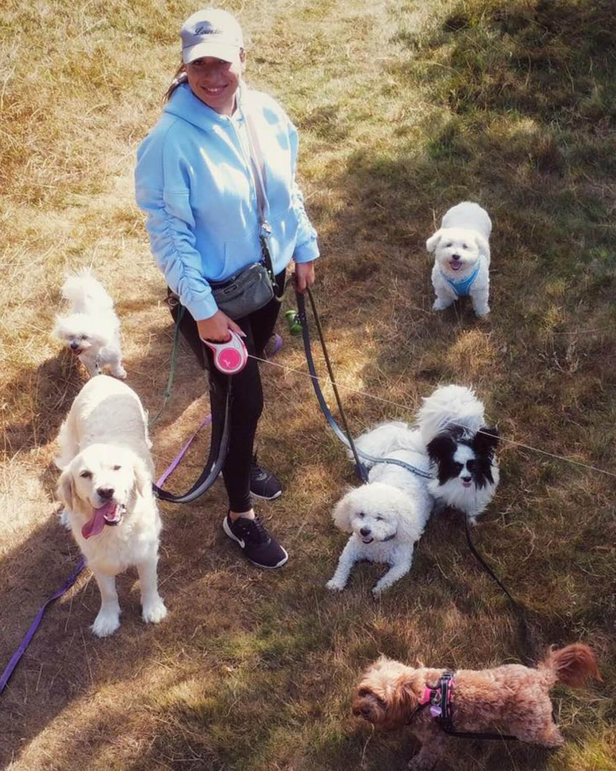 Marie's Doggy Day Care
