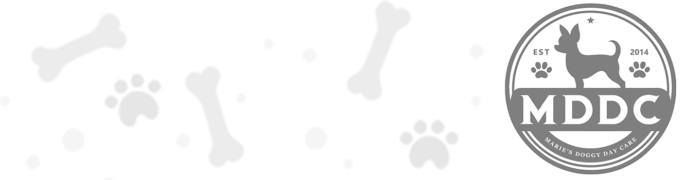 Marie's Doggy Day Care