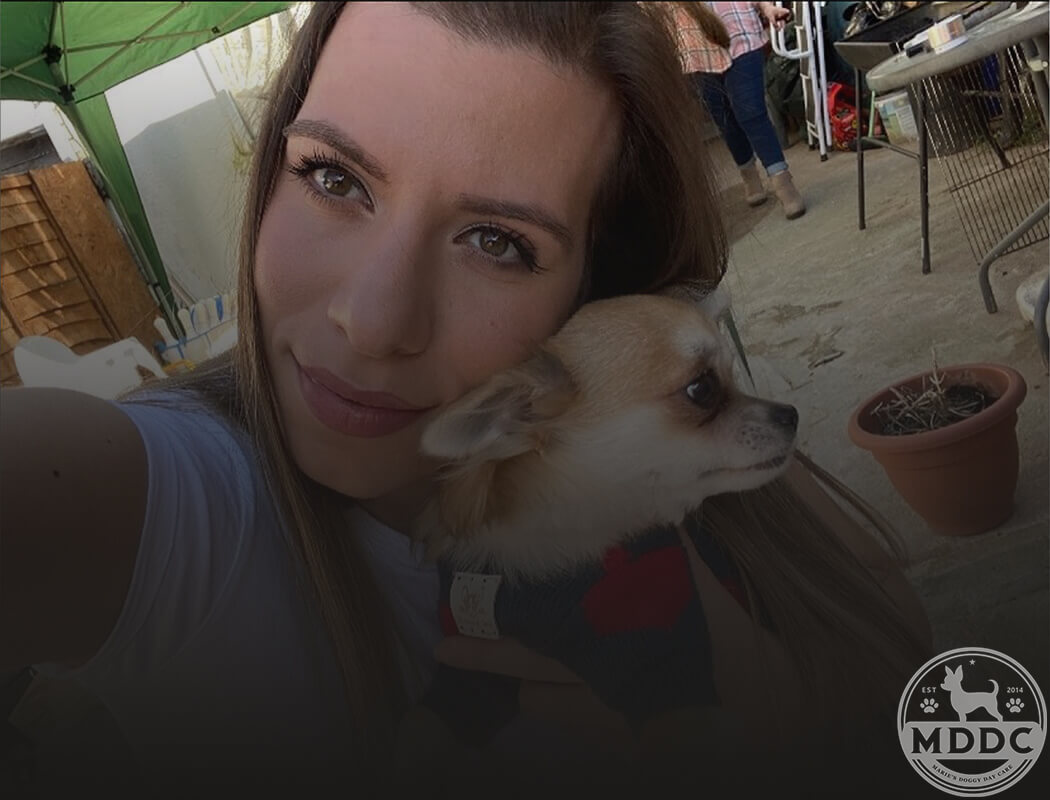 Marie's Doggy Day Care