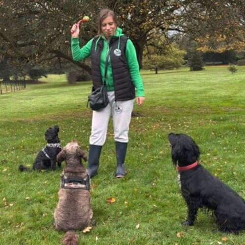 Dog Walking Images