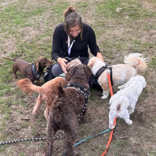 Dog Walking Images