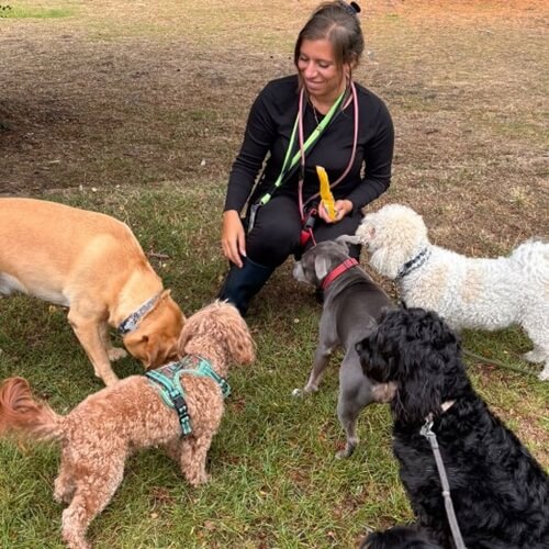 Dog Walking Images