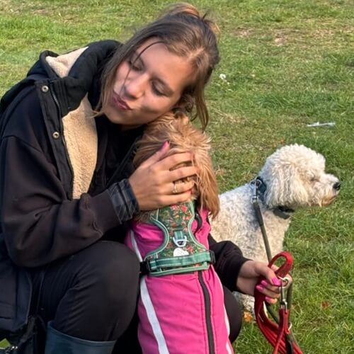 Dog Walking Images