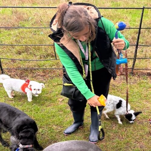 Dog Walking Images