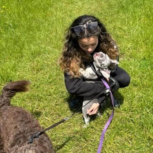 Dog Walking Images