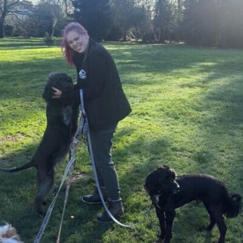 Dog Walking Images