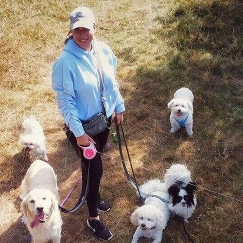 Dog Walking Images