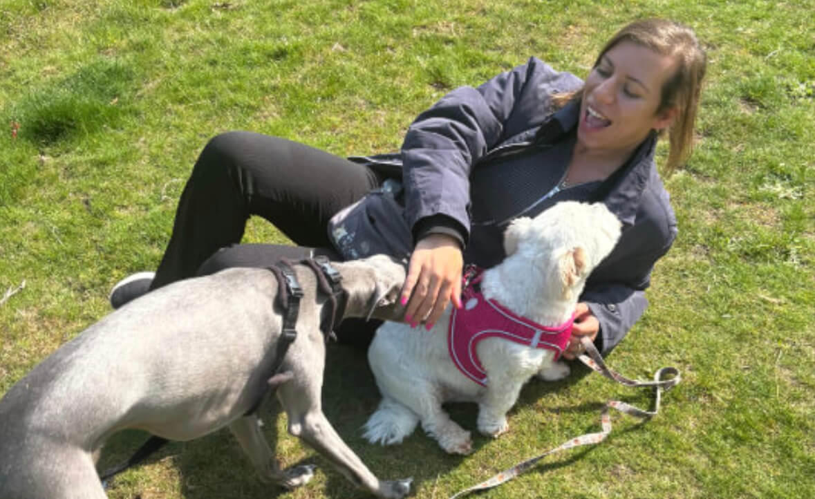Marie's Doggy Day Care