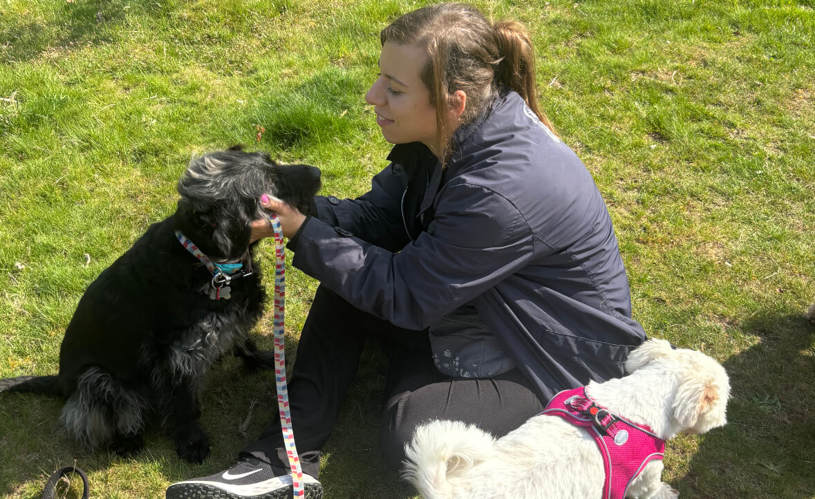 Marie's Doggy Day Care