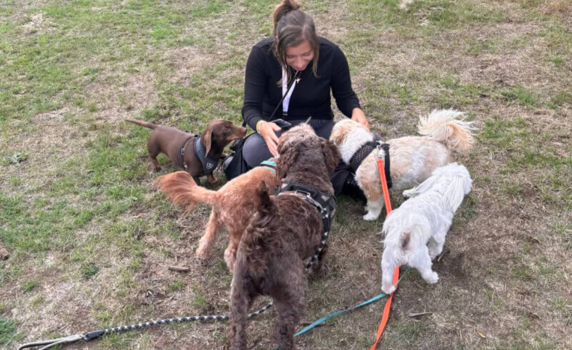 Marie's Doggy Day Care