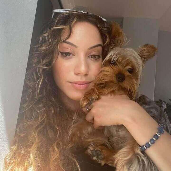 Dog Walking Team