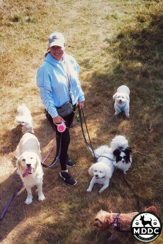 Marie's Doggy Day Care