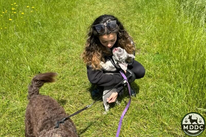 Marie's Doggy Day Care