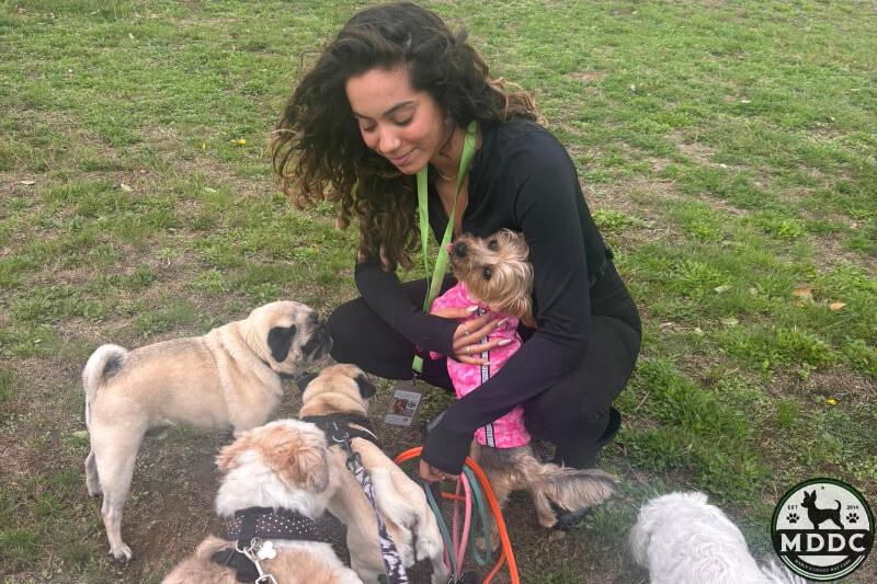 Marie's Doggy Day Care