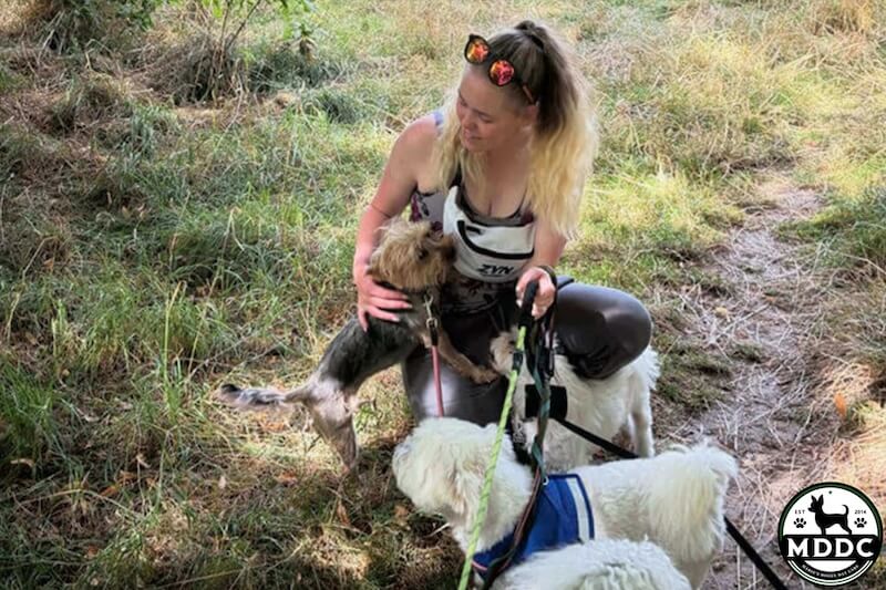 Marie's Doggy Day Care