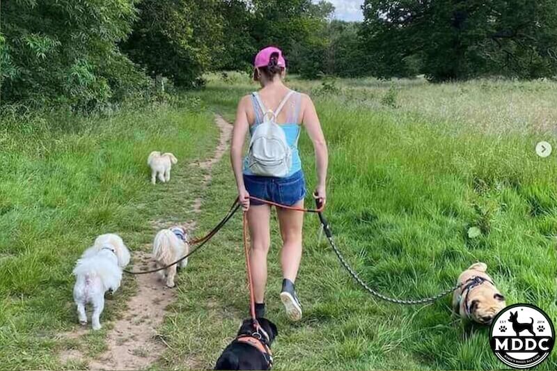 Marie's Doggy Day Care
