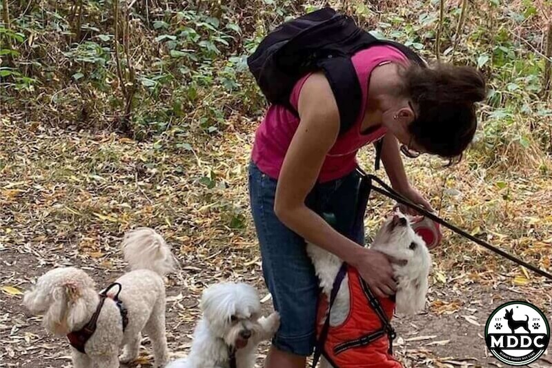 Marie's Doggy Day Care
