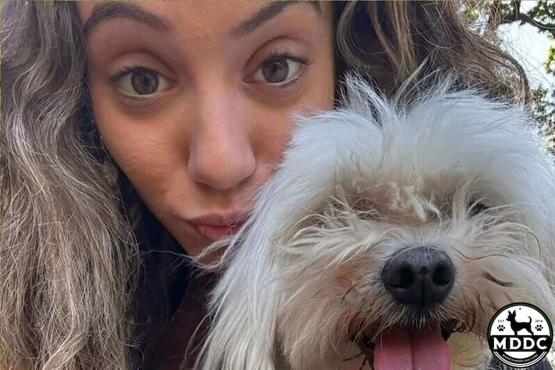 Marie's Doggy Day Care