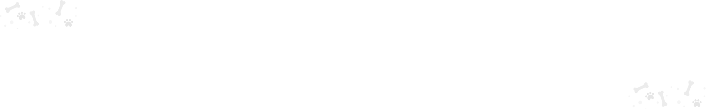 Divider Image
