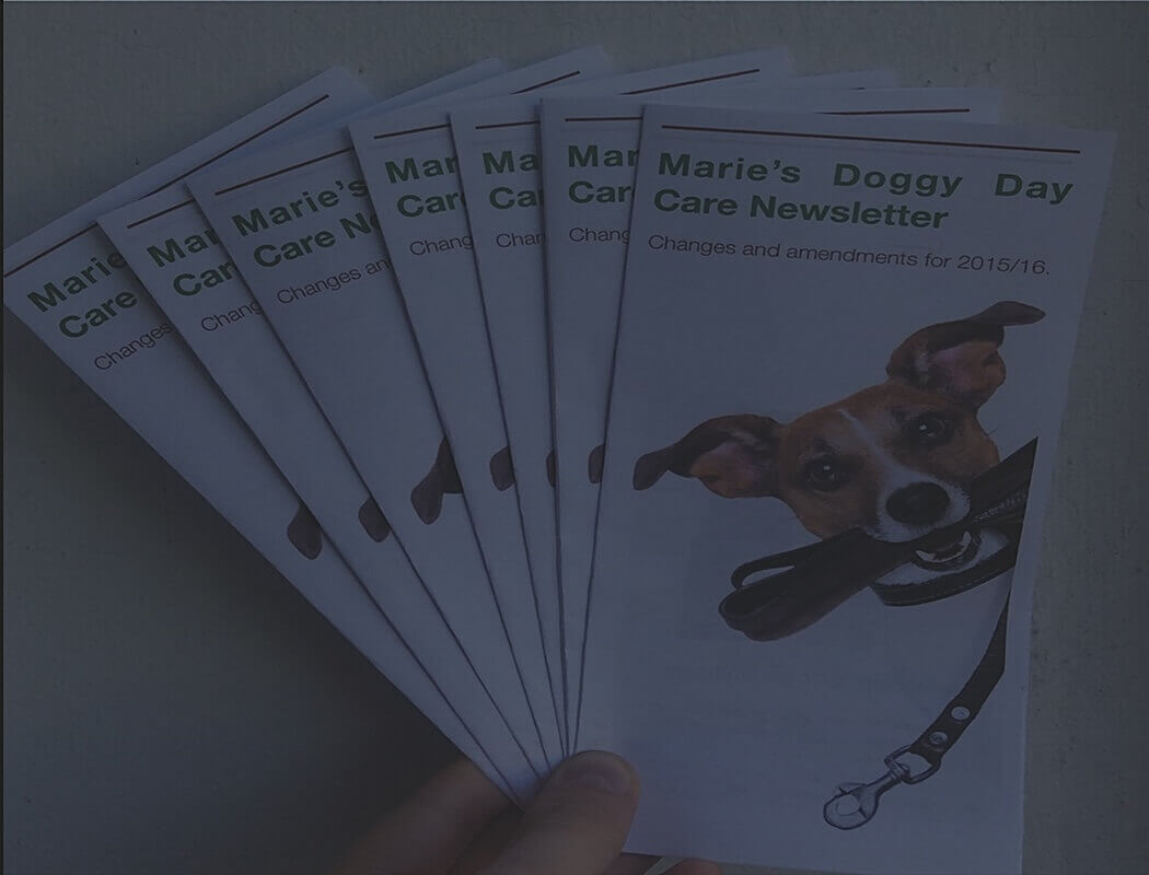 Marie's Doggy Day Care