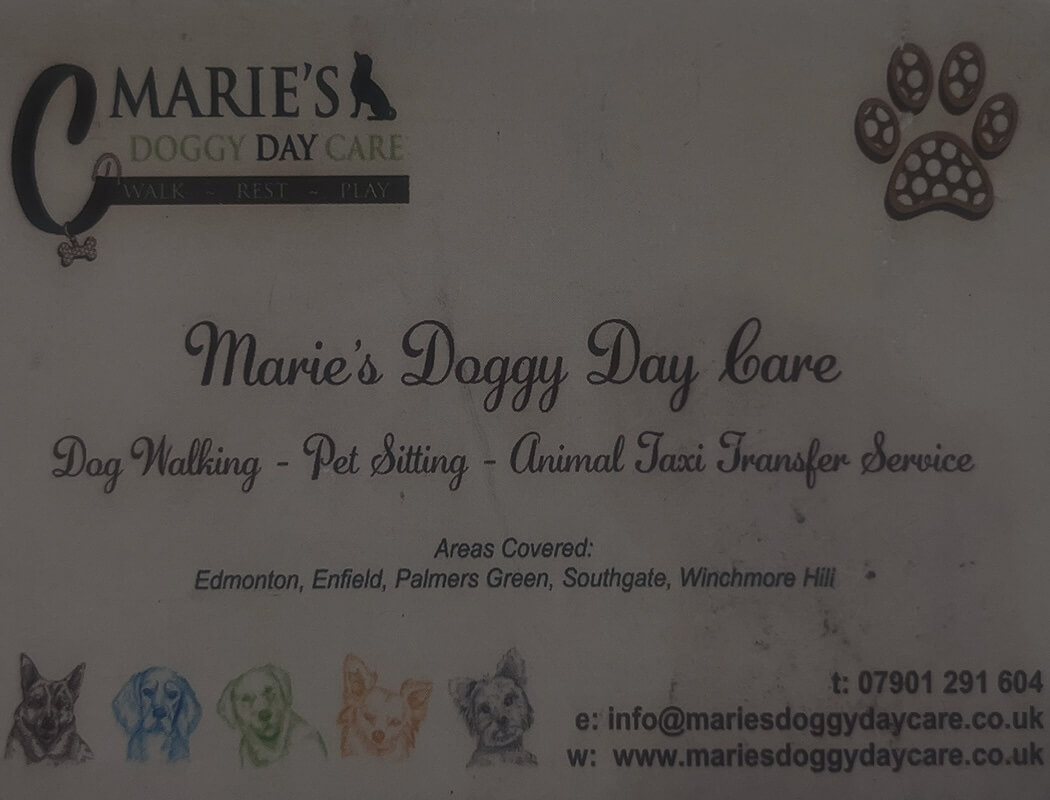 Marie's Doggy Day Care